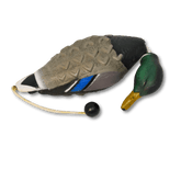 Aportabil rata EZ Bird